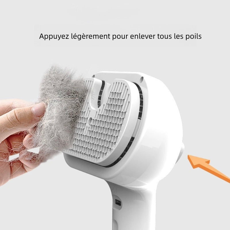 Brosse Vapeur Magique – Adieu les Poils !